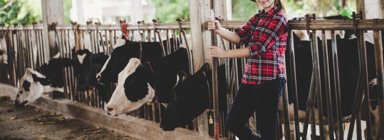 In every cow, there’s a story of hard work and dedication